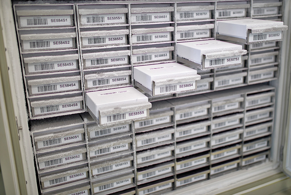 Biomex storage with freezer